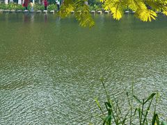-重庆彩云湖湿地公园