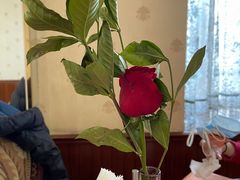 -新侨三宝乐西餐厅(崇文门店)