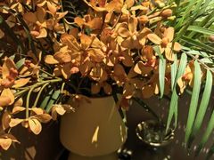 -和子足浴SPA会馆(梁溪店)