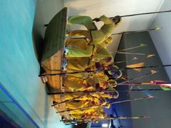 android_upload_pic-溱湖国家湿地公园