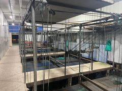 -秋月舫(阳澄湖湖滨中路店)