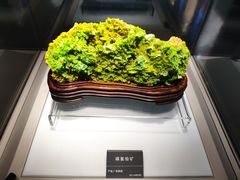 -安徽省地质博物馆