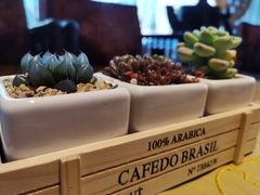 -七彩云南庆沣祥茶庄(金融街店)