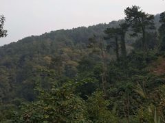 -白云山风景名胜区