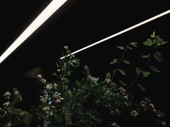 -山下C5cafe(惠通时代广场店)