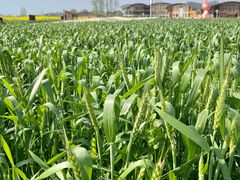 -中国天府农业博览园