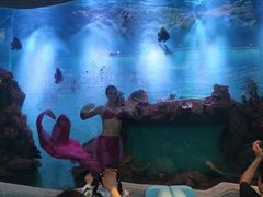 -瑞德姆美人鱼海底演艺主题餐厅(亚龙湾店)
