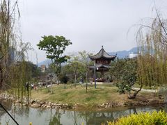 -四海公园(南山区)