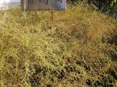 -广州神农草堂中医药博物馆