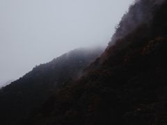 -少华山国家森林公园
