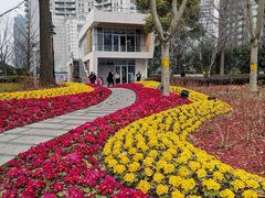 -北外滩滨江绿地