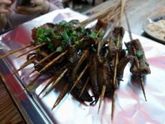 -晓靖轩烧烤(沙河风情店)
