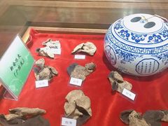 -广东中医药博物馆