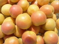 -阿布拉的馕(西北路店)