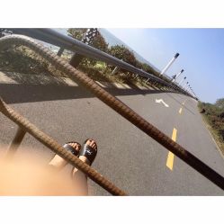 点击看大图 -水八仙生态园