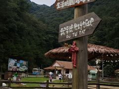 -龙岩森林水乡景区