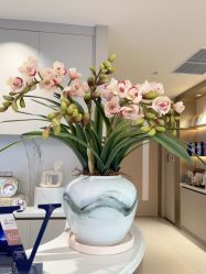 -深圳芙必优医疗美容·抗衰中心