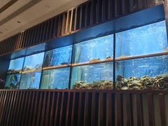 -珍宝海鲜JUMBO Seafood(尚嘉店)