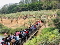 -南国桃园旅游度假区