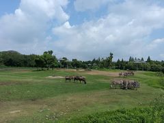 -宁波野生动物园