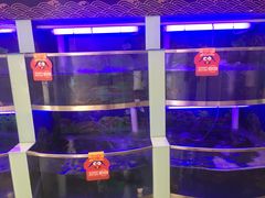 水产区-七欣天(浦东羽山乐坊店)