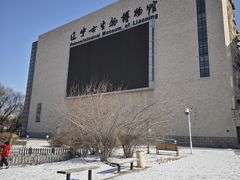 -辽宁古生物博物馆