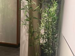 -四川宋瓷博物馆