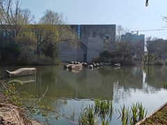 -圩墩遗址公园