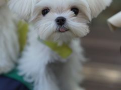 -MOJ coffee(瓯海泽雅水碓坑店)