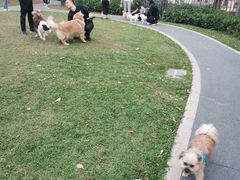 -景田北六街公园宠物主题园