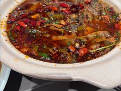 -情妹耙泥鳅·江湖川菜(科华店)