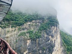 -鹿院坪生态旅游景区