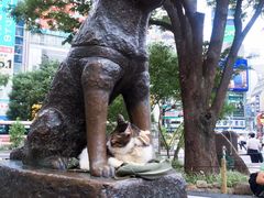 -涩谷全向十字路口
