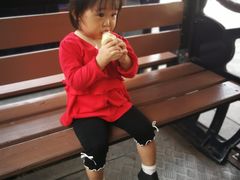-自然谷恐龙园