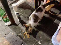 -鑫明明拉面(宁化路店)