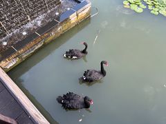 -常州武进九洲喜来登酒店