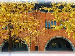 -浙江大学(紫金港校区)