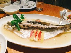 钱湖四宝-朋鱼-宁波柏悦酒店·钱湖渔港