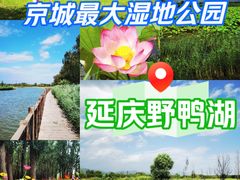 -野鸭湖国家湿地公园