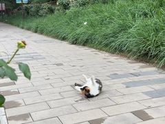 -元大都城垣遗址公园