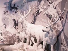 -中国湿地博物馆