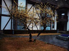 -太阳岛度假酒店