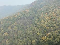 -吉林市朱雀山国家森林公园