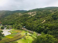 -象山黄金海岸雷迪森酒店