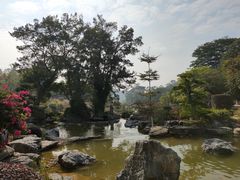 -东莞植物园
