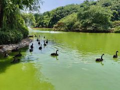 -杭州野生动物世界