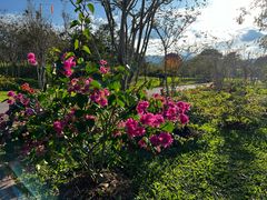 -中国科学院西双版纳热带植物园