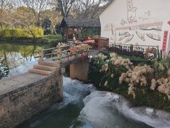 -西溪国家湿地公园