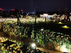 -莫子山公园