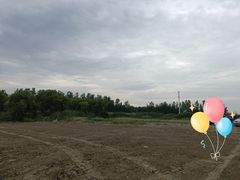 -动邦皮划艇·桨板·独木舟·团建户外运动俱乐部